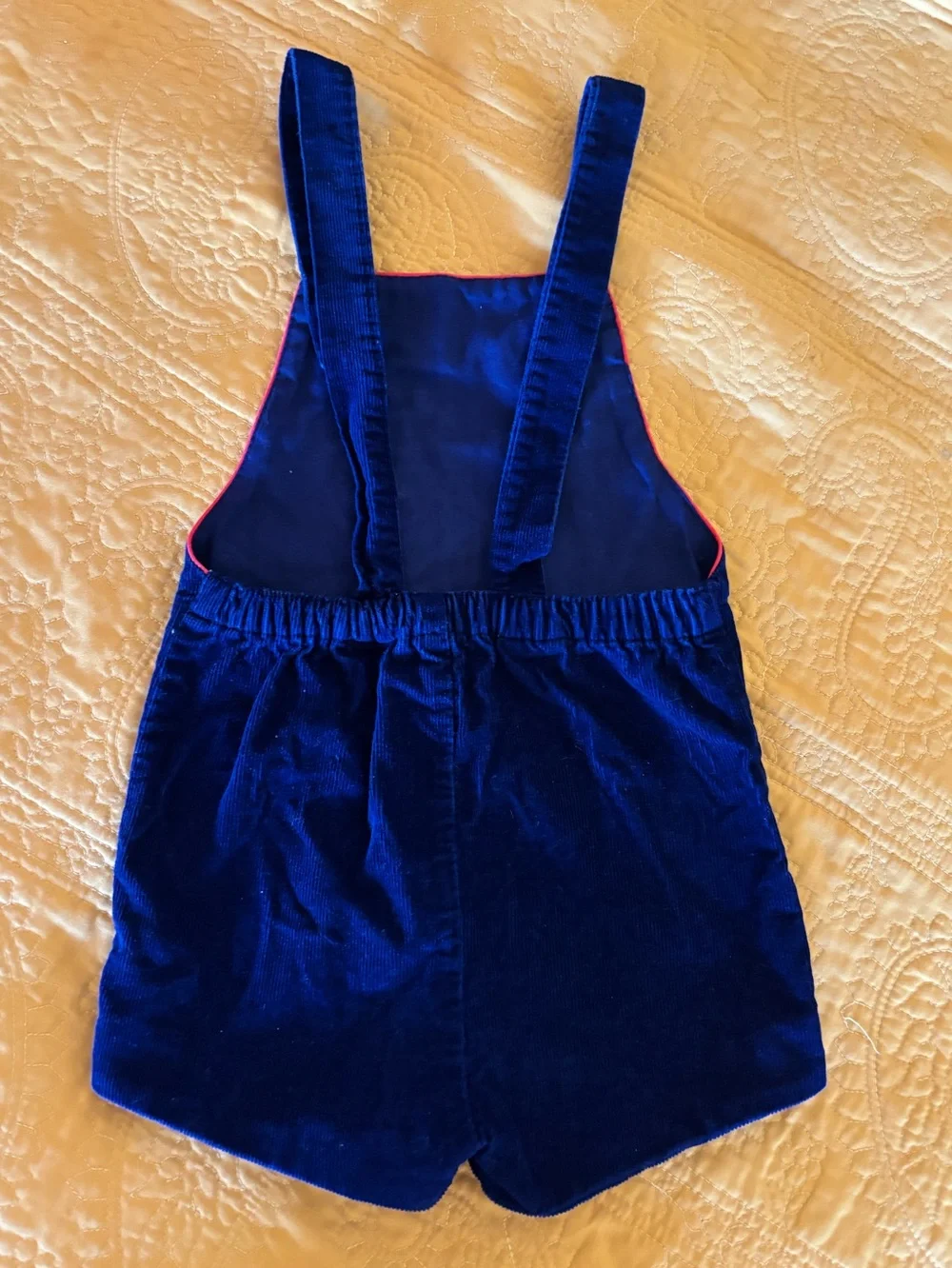 Vintage Baby Boy Lion Corduroy Overalls